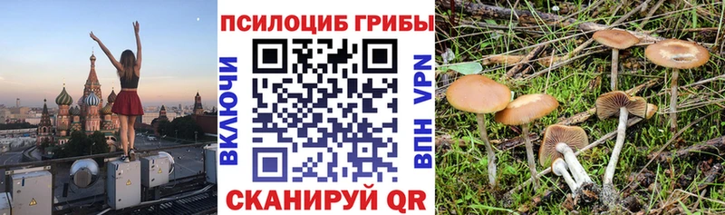 закладки Кувандык Галлюциногенные грибы GOLDEN TEACHER