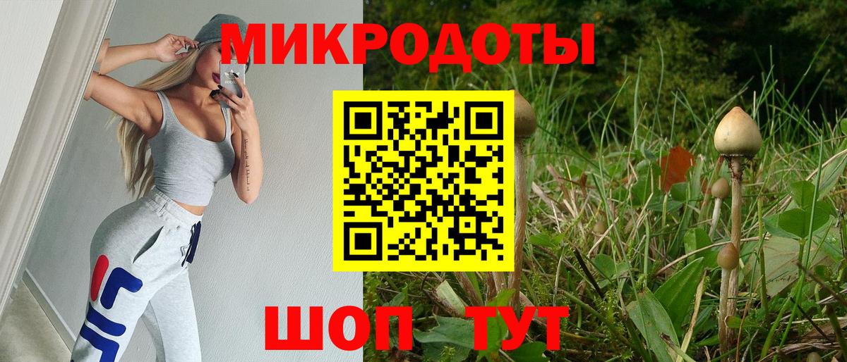 Псилоцибиновые грибы Psilocybe Кувандык