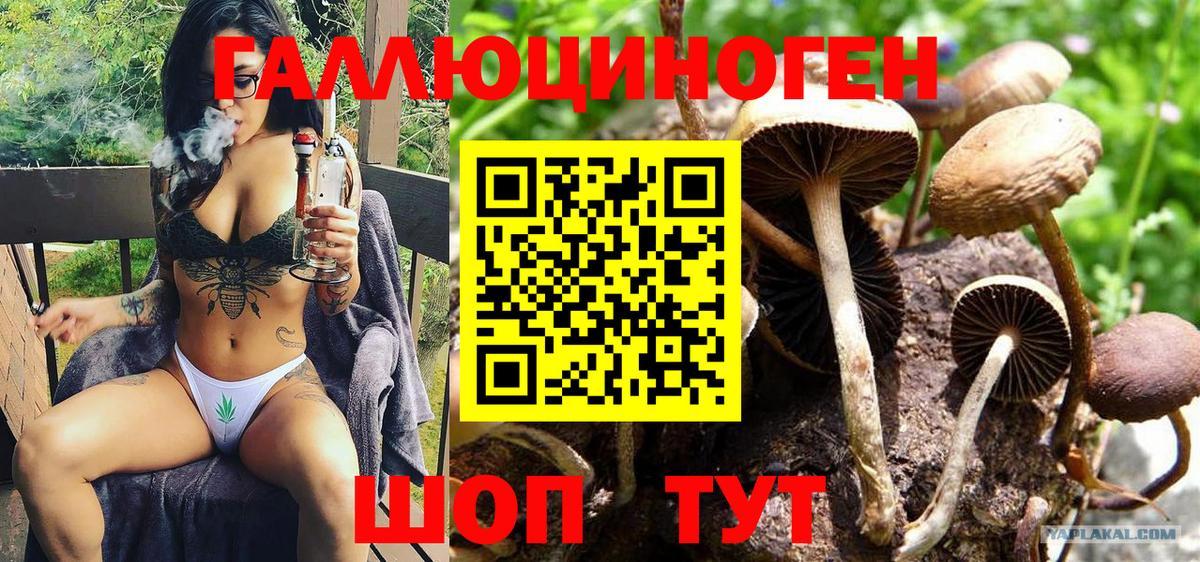 Псилоцибиновые грибы прущие грибы  Вход с VPN  Кувандык  Псилоцибиновые грибы мицелий 